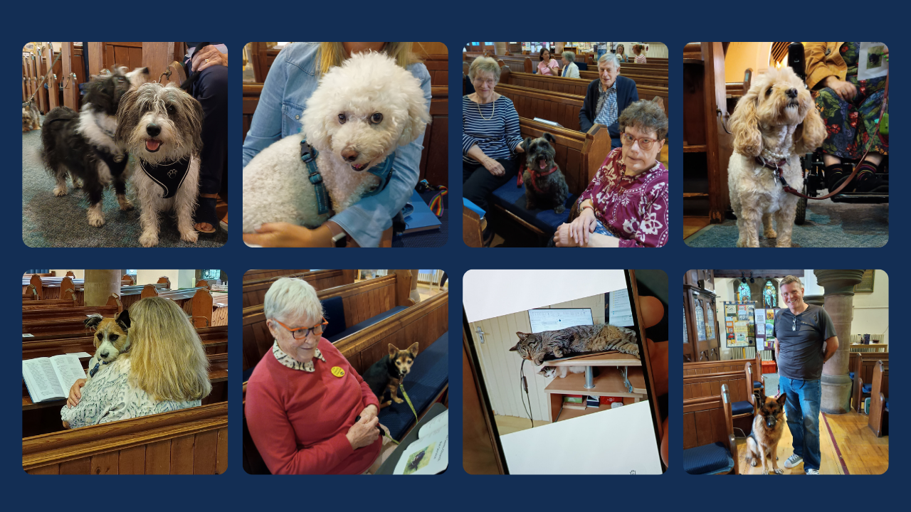 Photos pf canine guests at the 2026 pet service